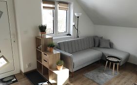 Apartmán Frymburk 700